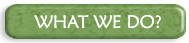 What we Do?